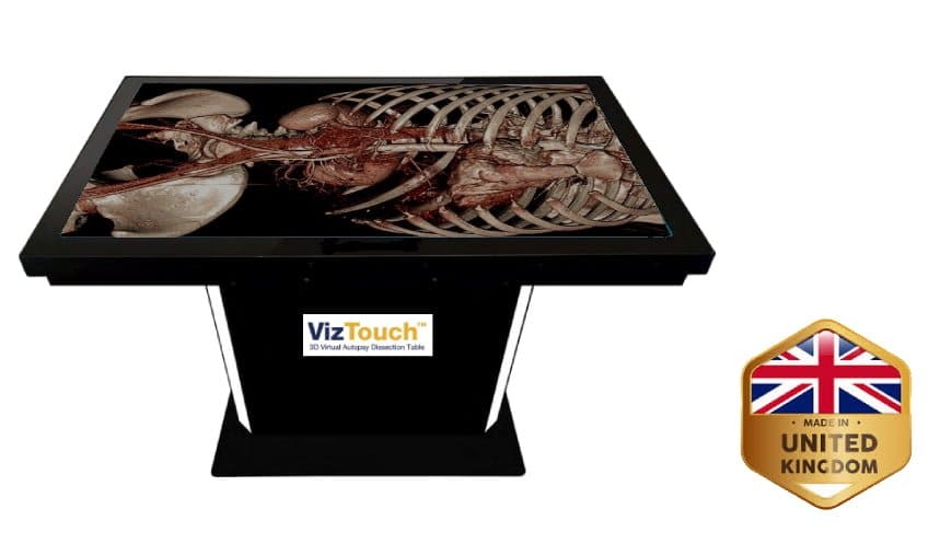 VizTouch3D™ Unus (Fixed)